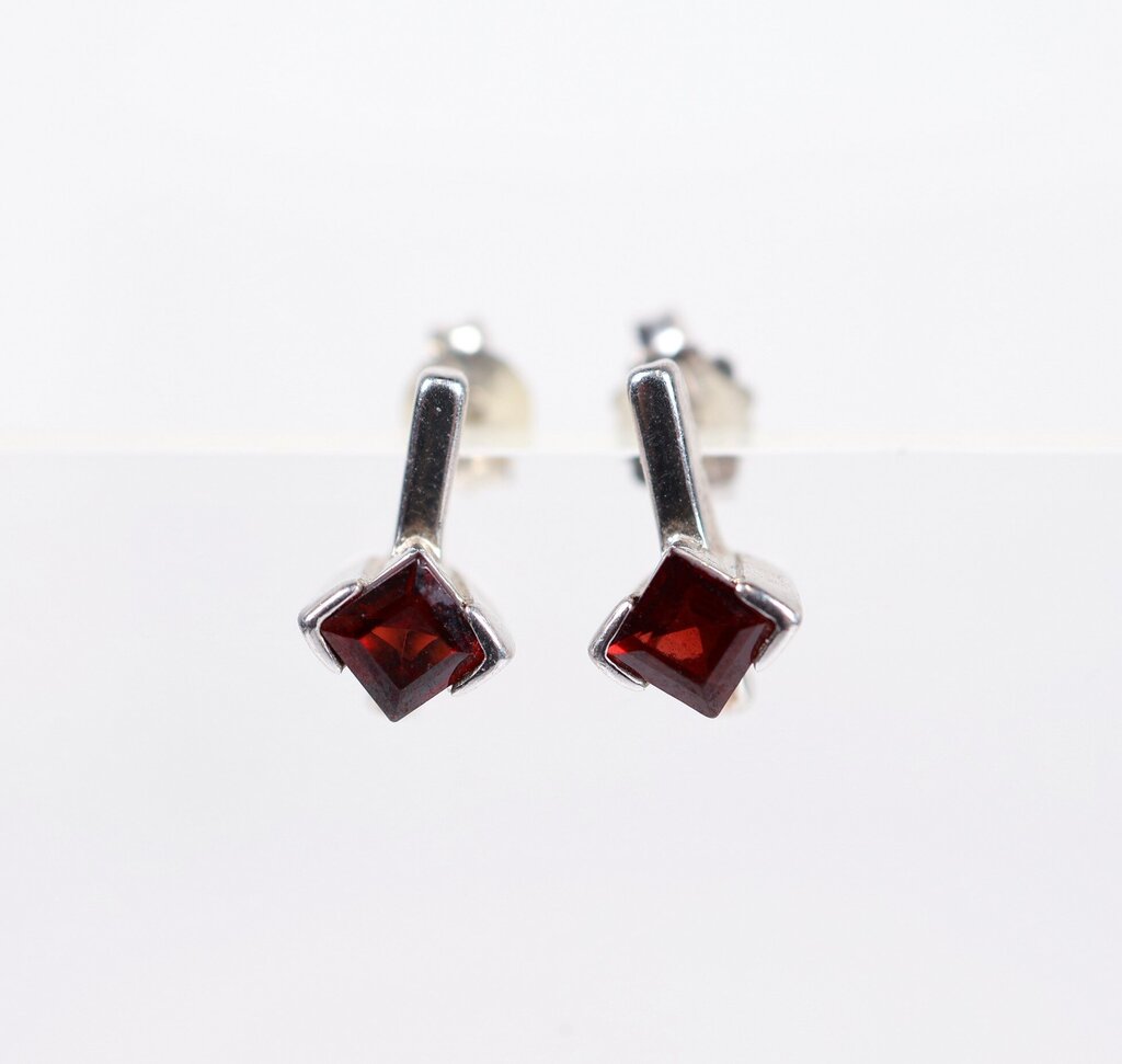 Sterling and Garnet 'Quasar' Earrings