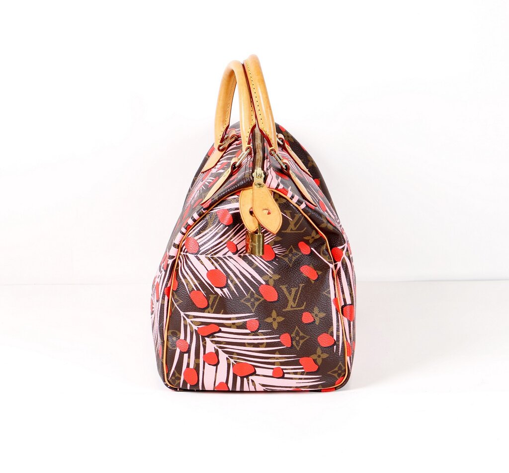 Monogram 'Jungle Dots Speedy 30'