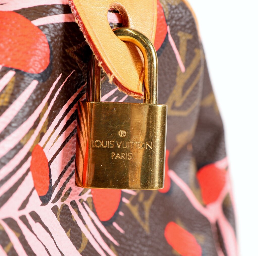 Monogram 'Jungle Dots Speedy 30'