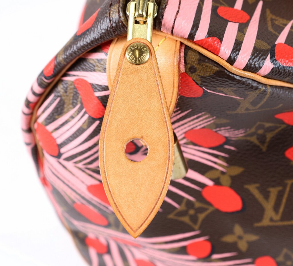 Monogram 'Jungle Dots Speedy 30'