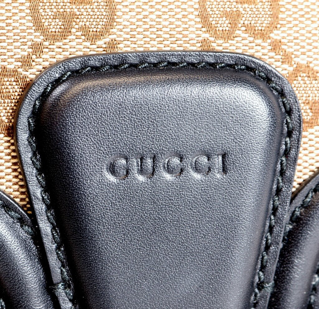 Monogram Canvas with Black Leather Lady Web Bag