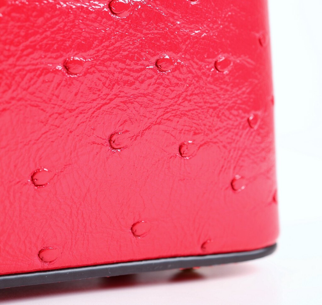 Red Ostrich Mini Capucine