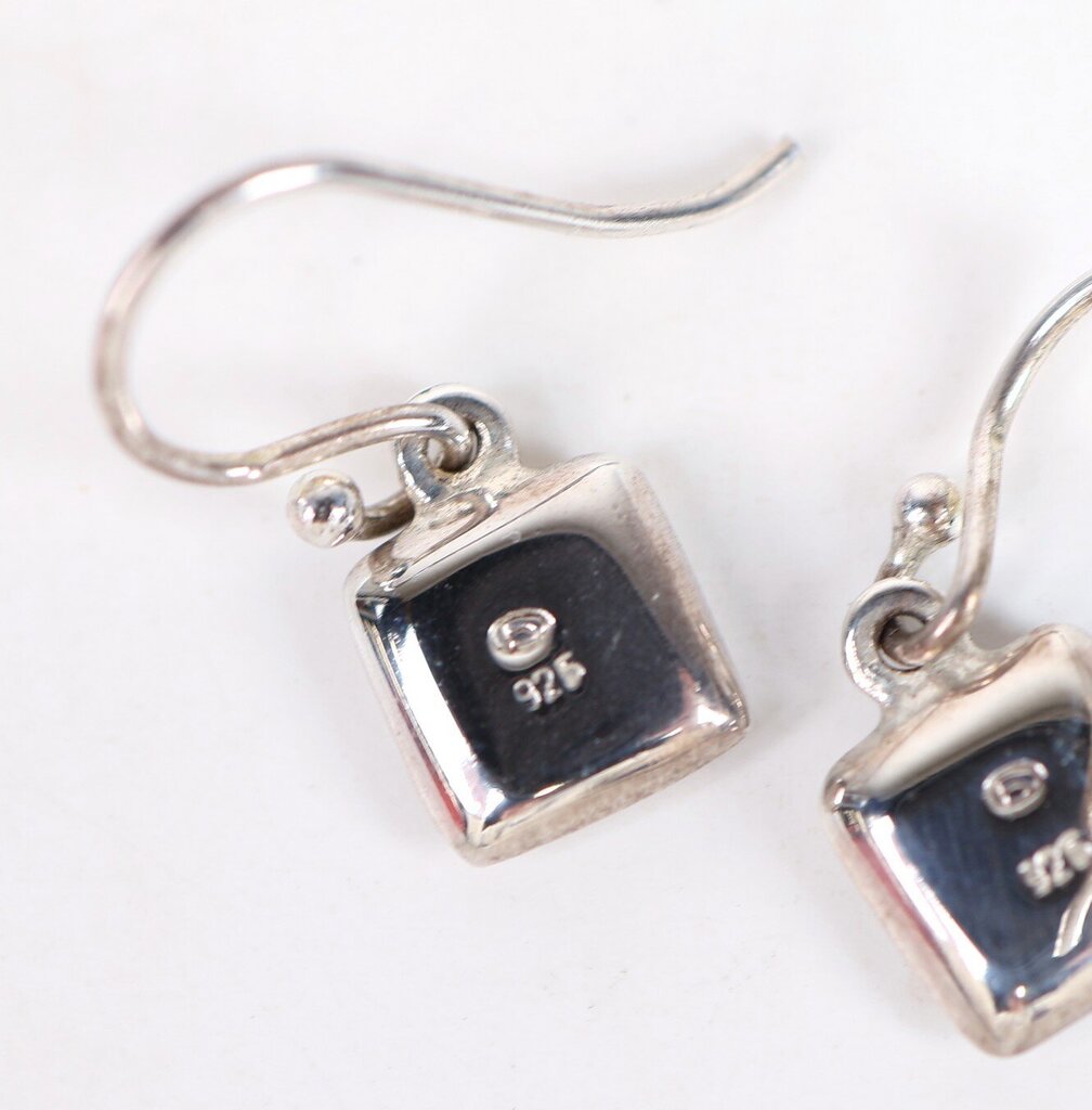 Sterling and Turquoise Resin Earrings