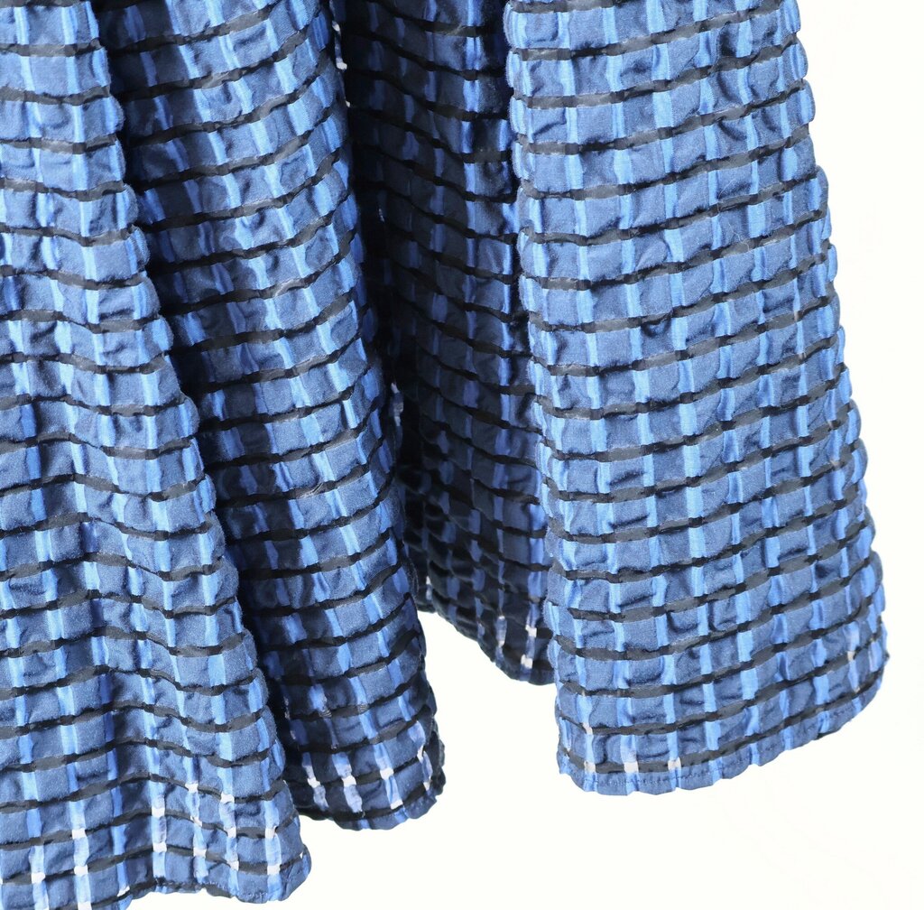 Blue Check Maxi Skirt (S/4)